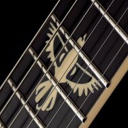 Duesenberg Alliance Series Dave Baksh SUM41 Paloma E-Gitarre